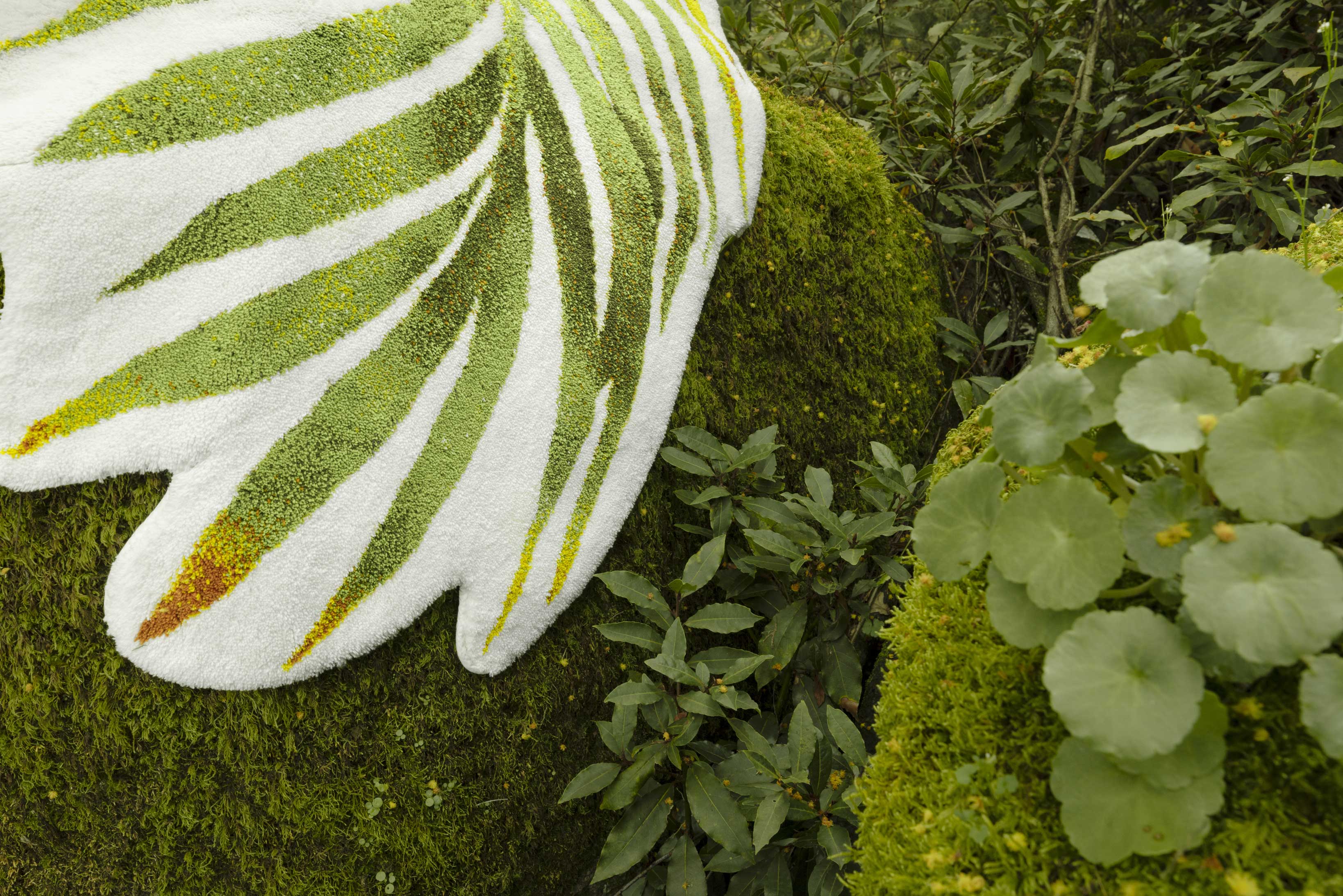 Abyss & Habidecor PALM