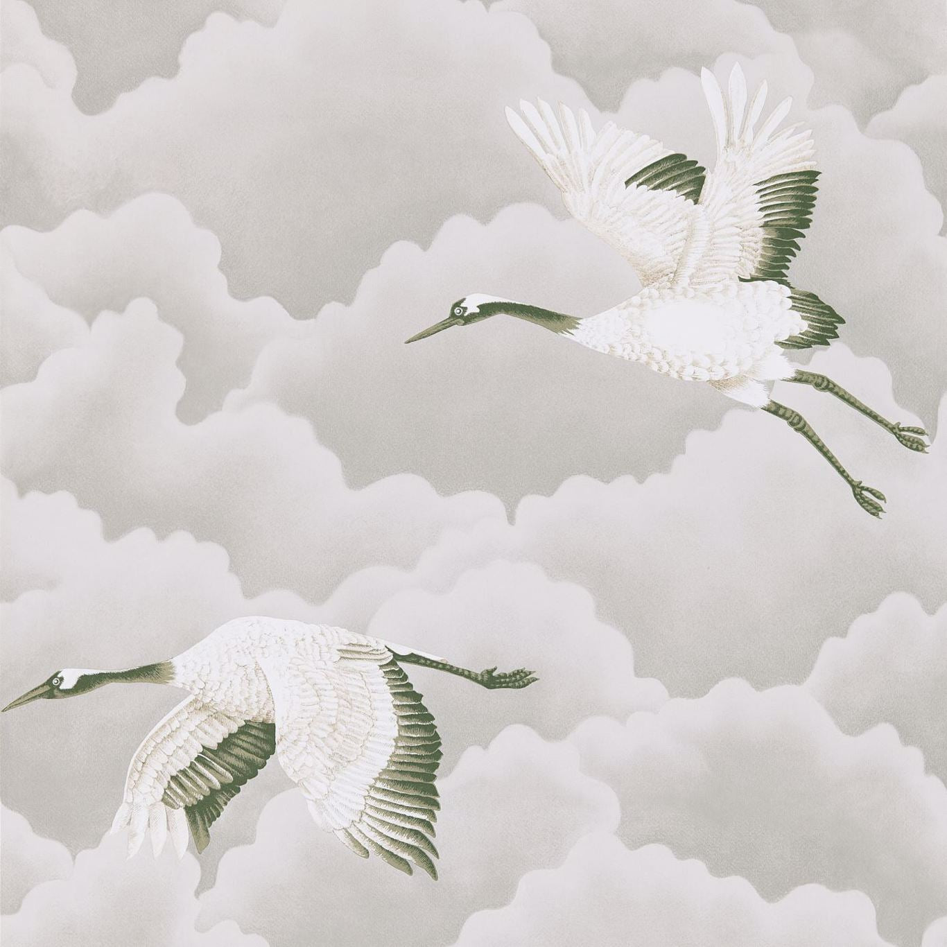 Harlequin Cranes In Flight