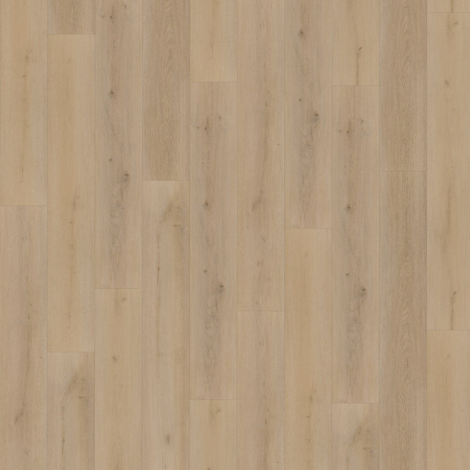 Jab Anstoetz CONTINENTAL OAK