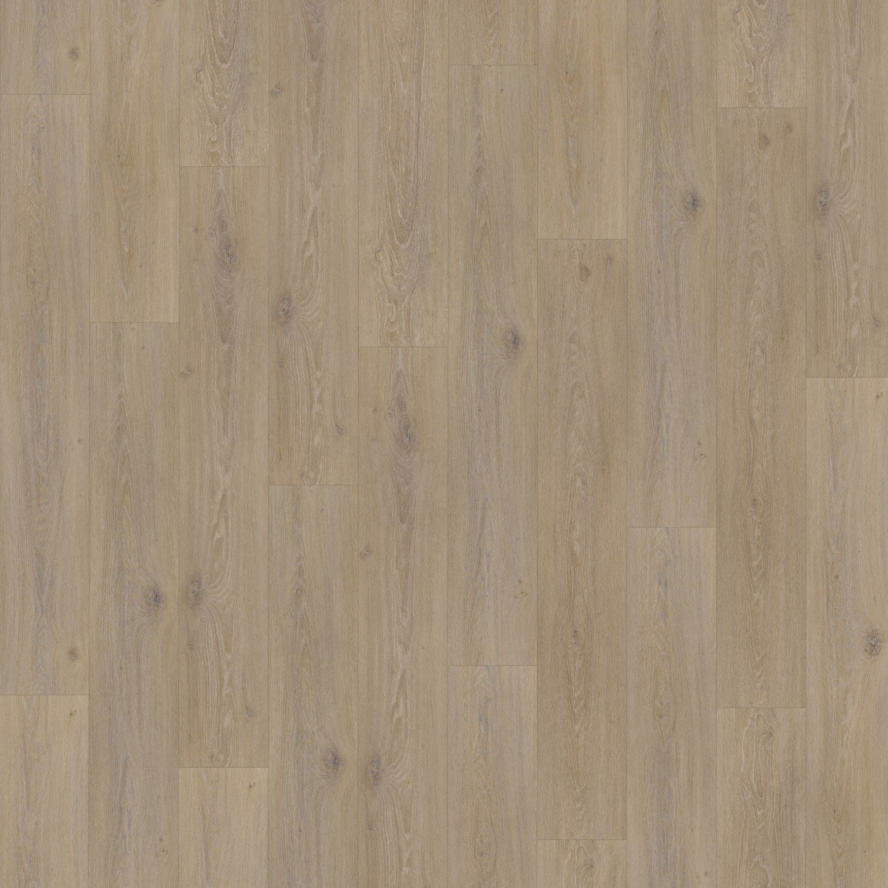 Jab Anstoetz OCEAN OAK