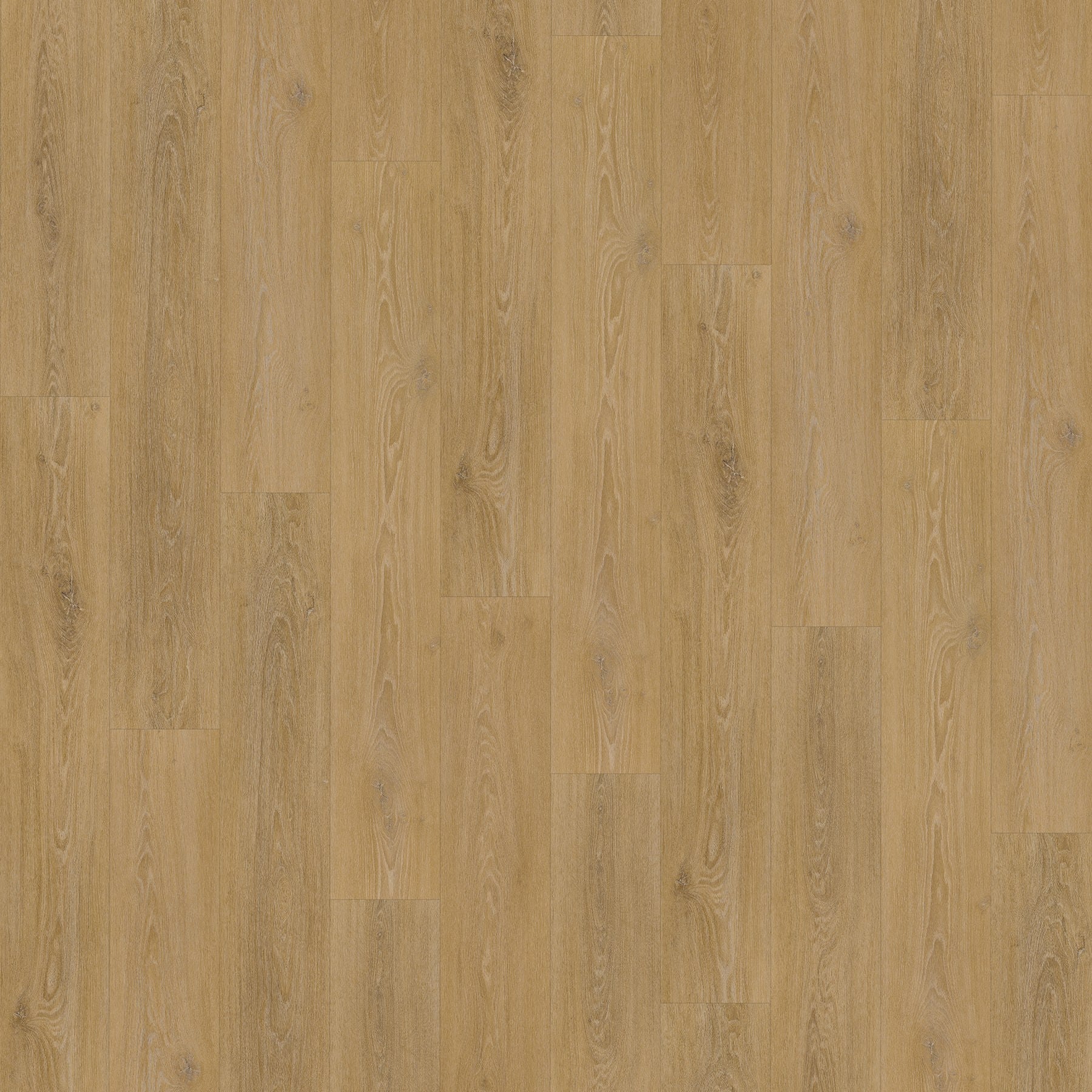 Jab Anstoetz Ocean Oak Honey