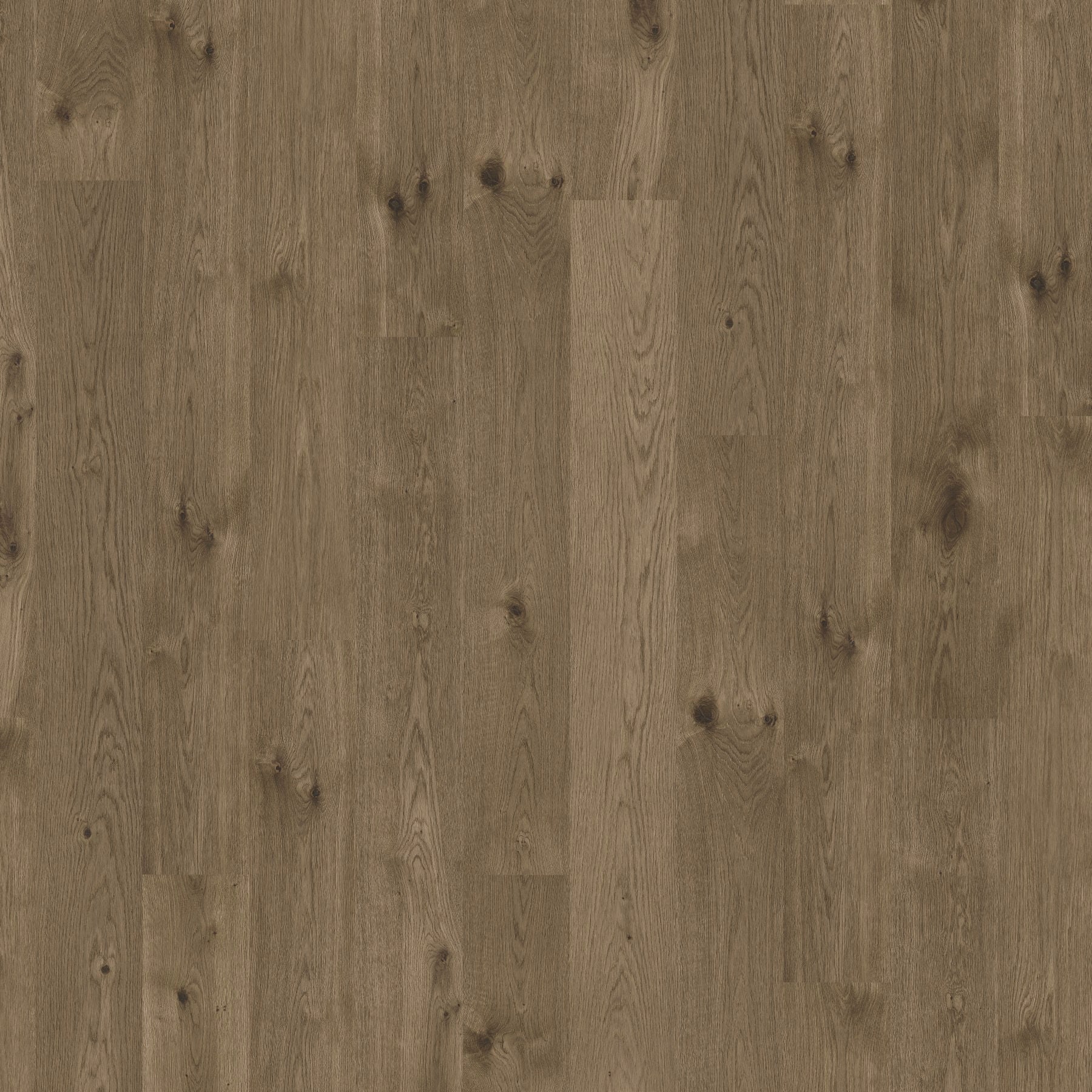 JAB Anstoetz Auster Oak