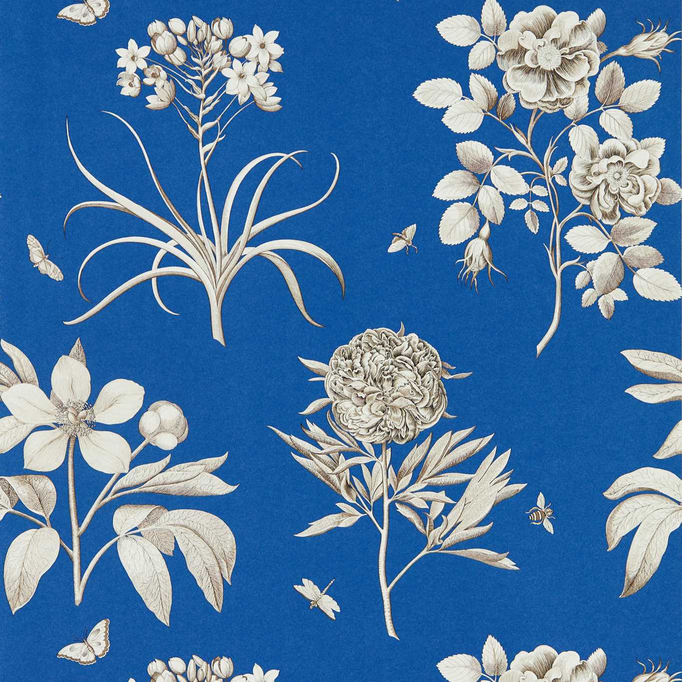 Sanderson Etchings & Roses