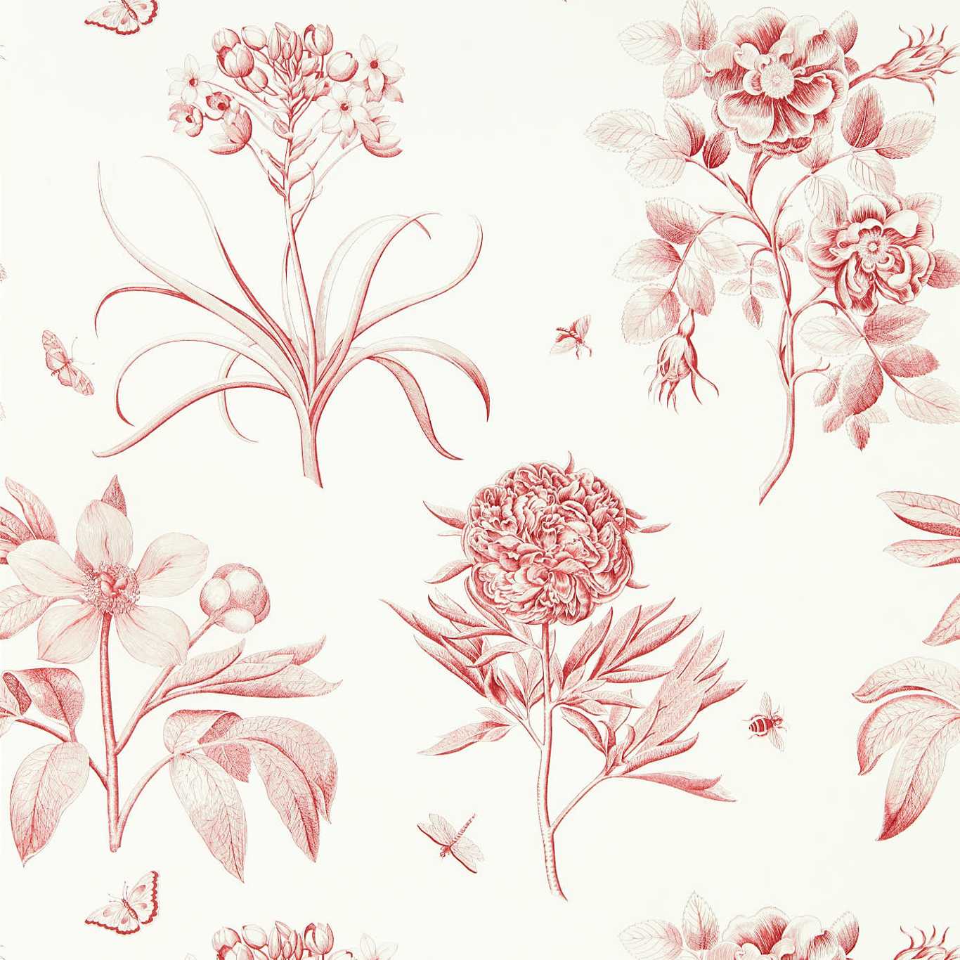 Sanderson Etchings & Roses