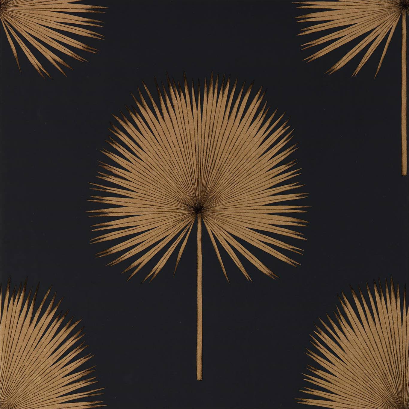 Sanderson Fan Palm