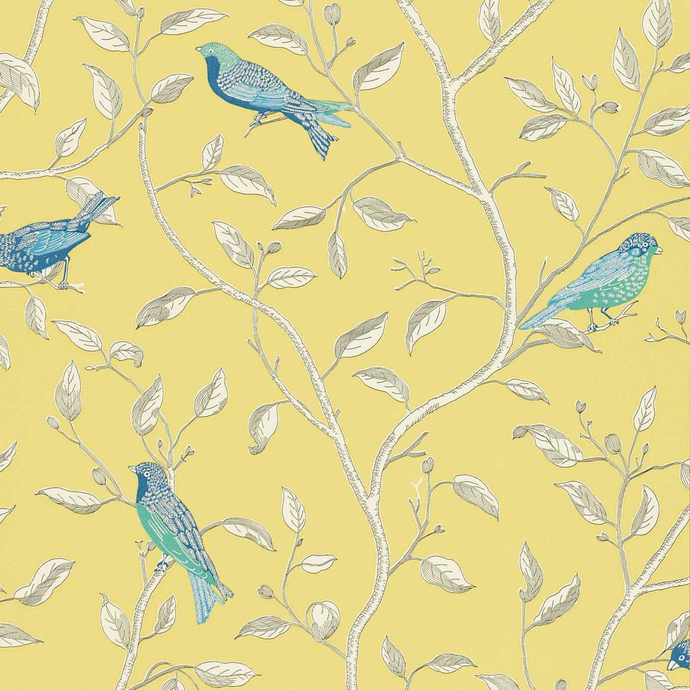 Sanderson Finches