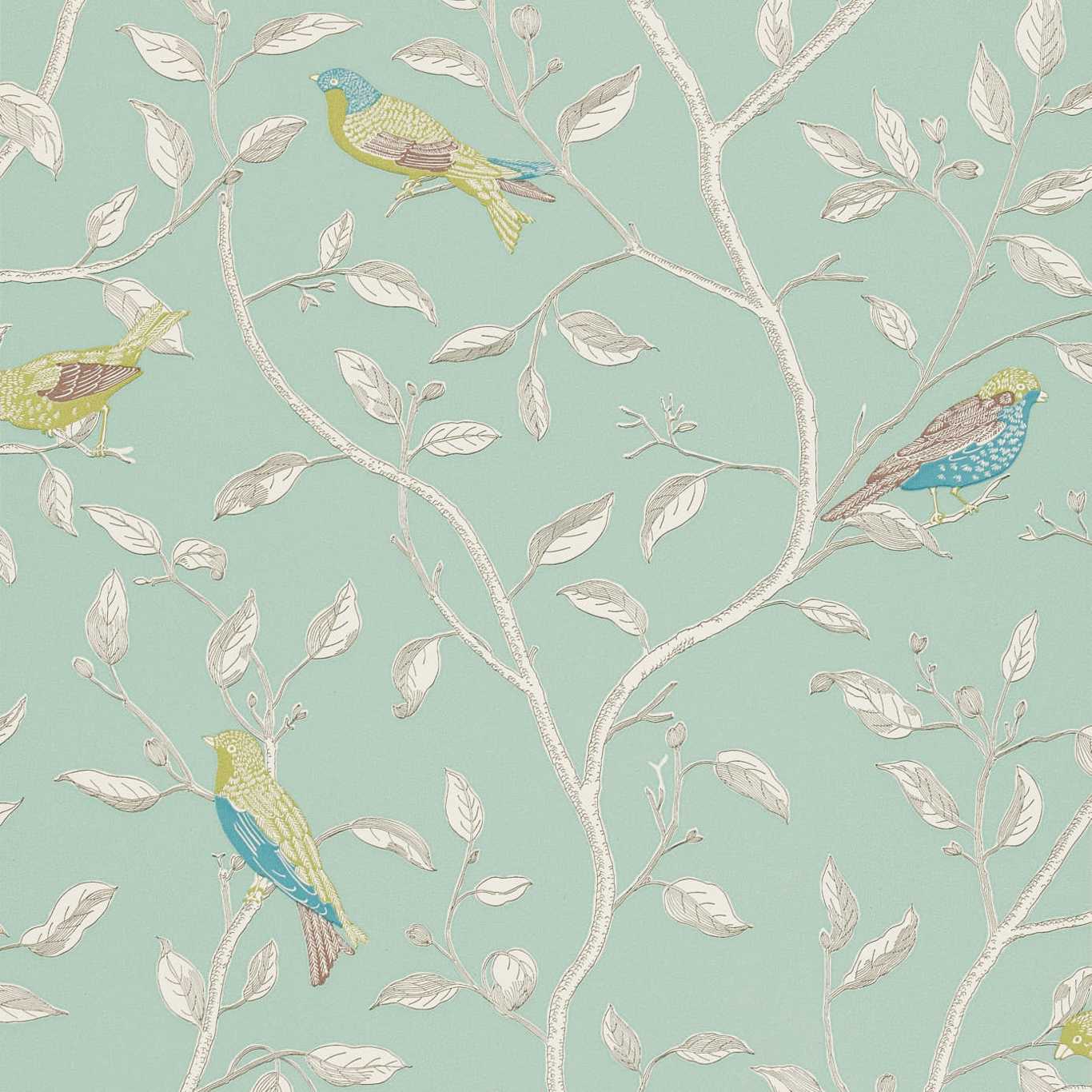 Sanderson Finches