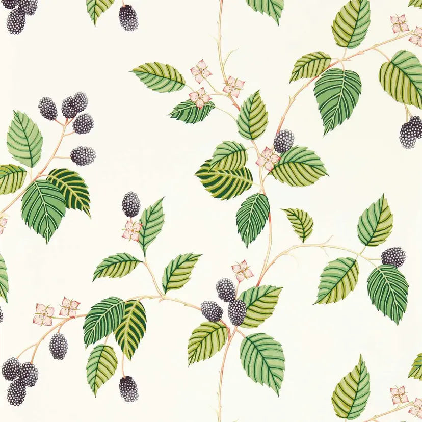 Sanderson Rubus
