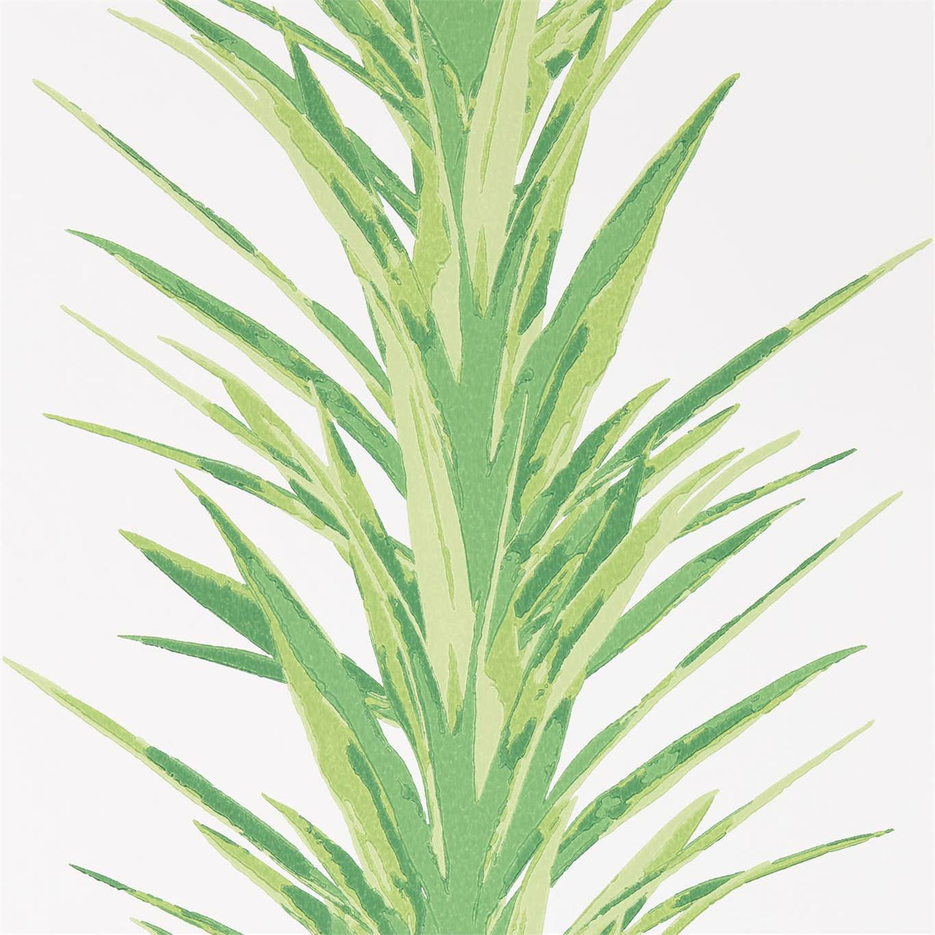 Sanderson Yucca
