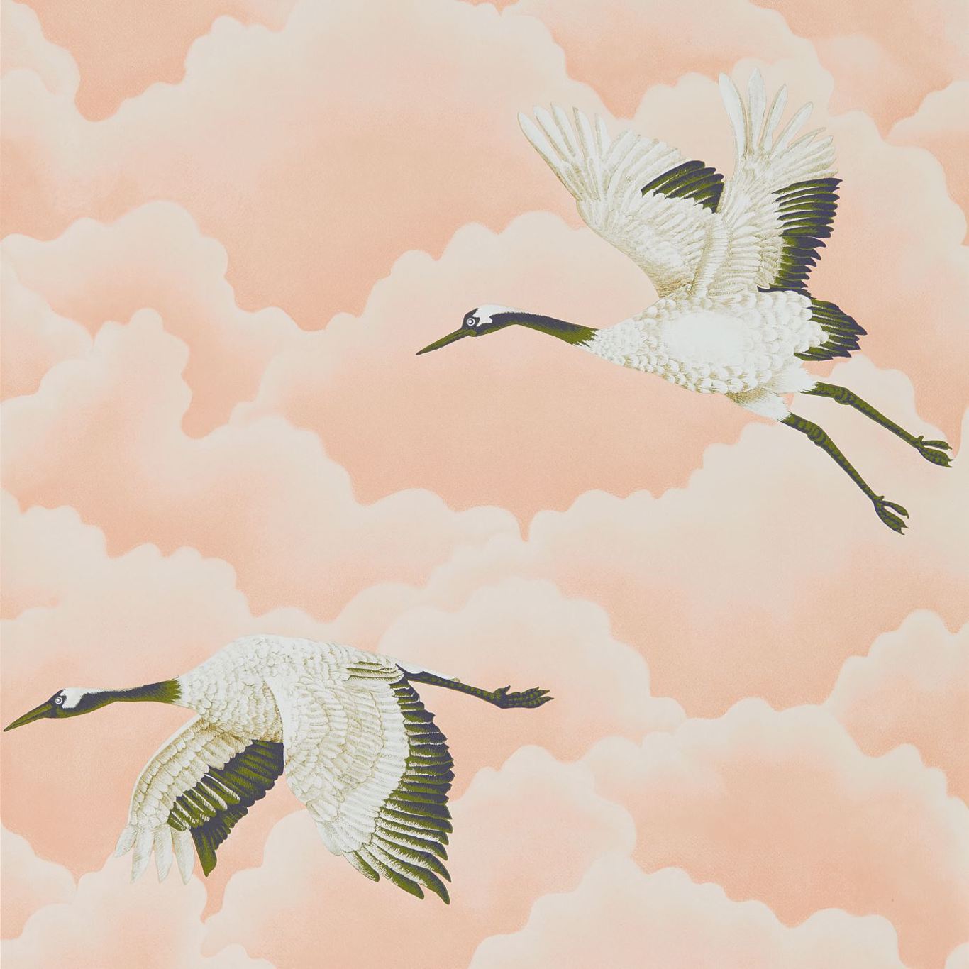 Harlequin Cranes In Flight