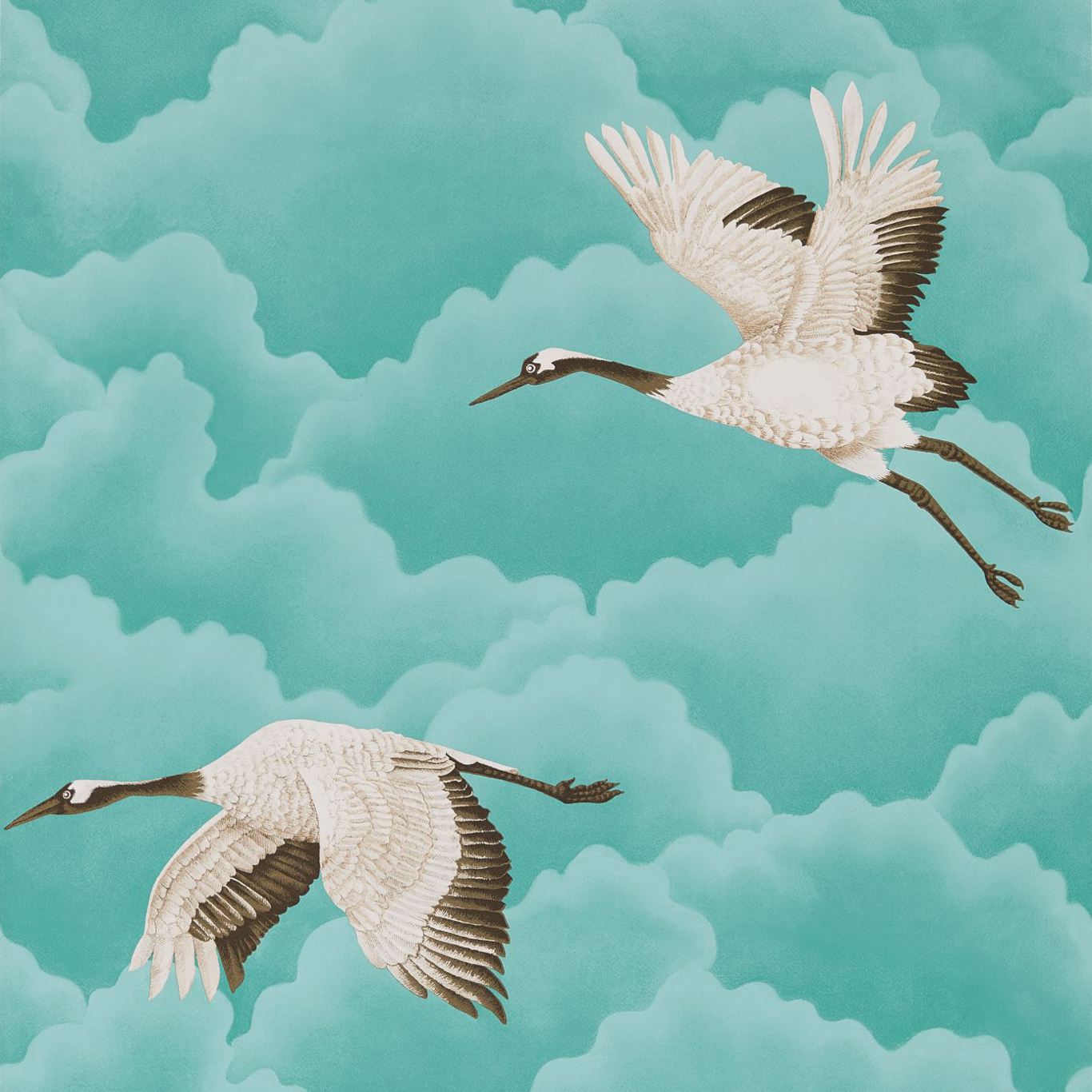 Harlequin Cranes In Flight