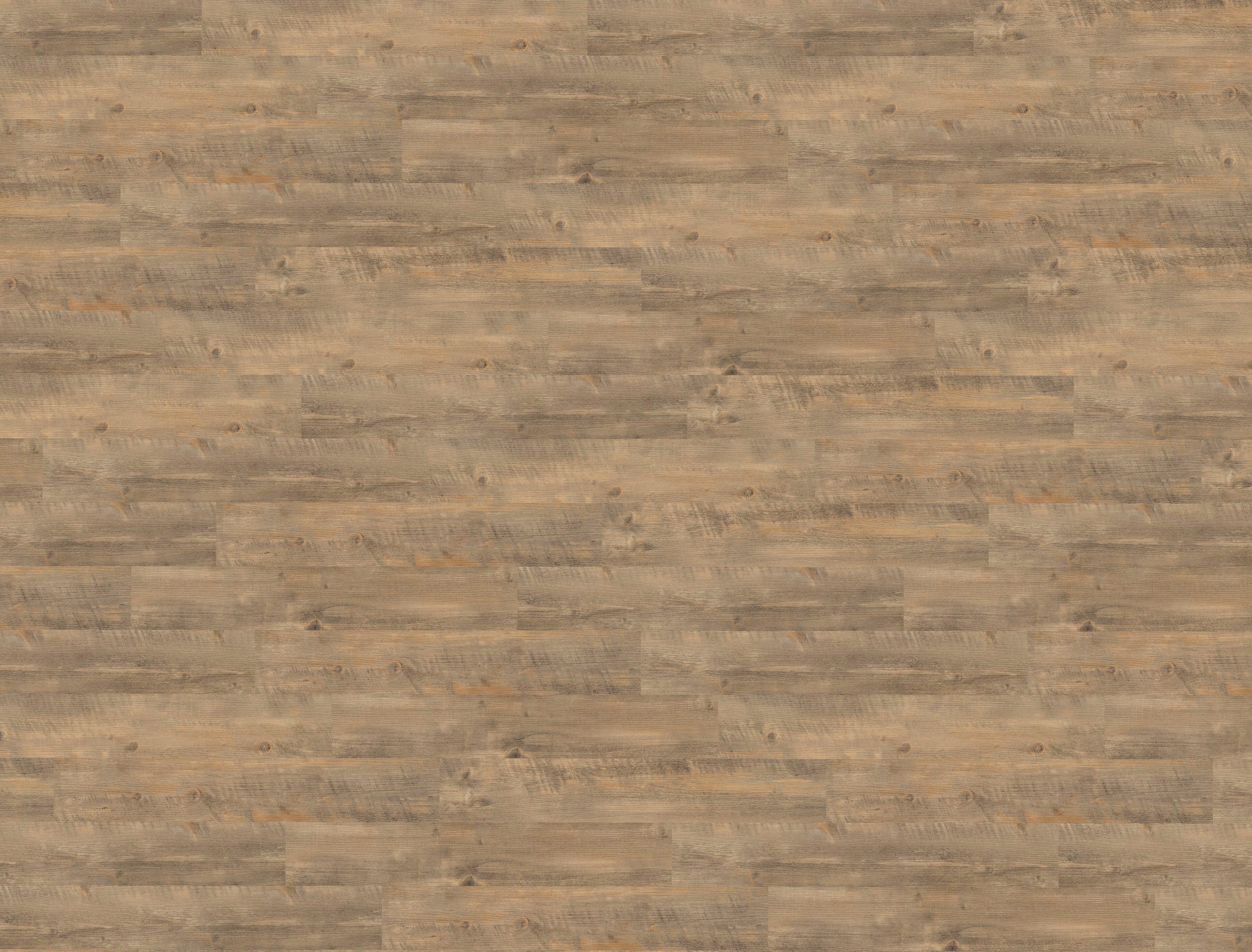 JAB Anstoetz Red Chestnut