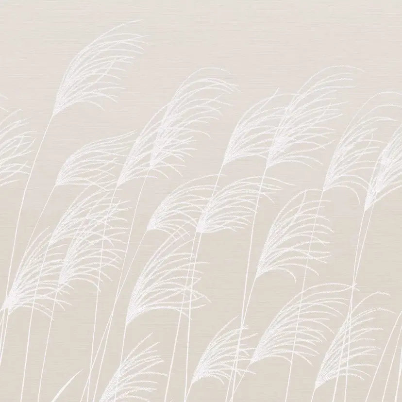 Harlequin Miscanthus