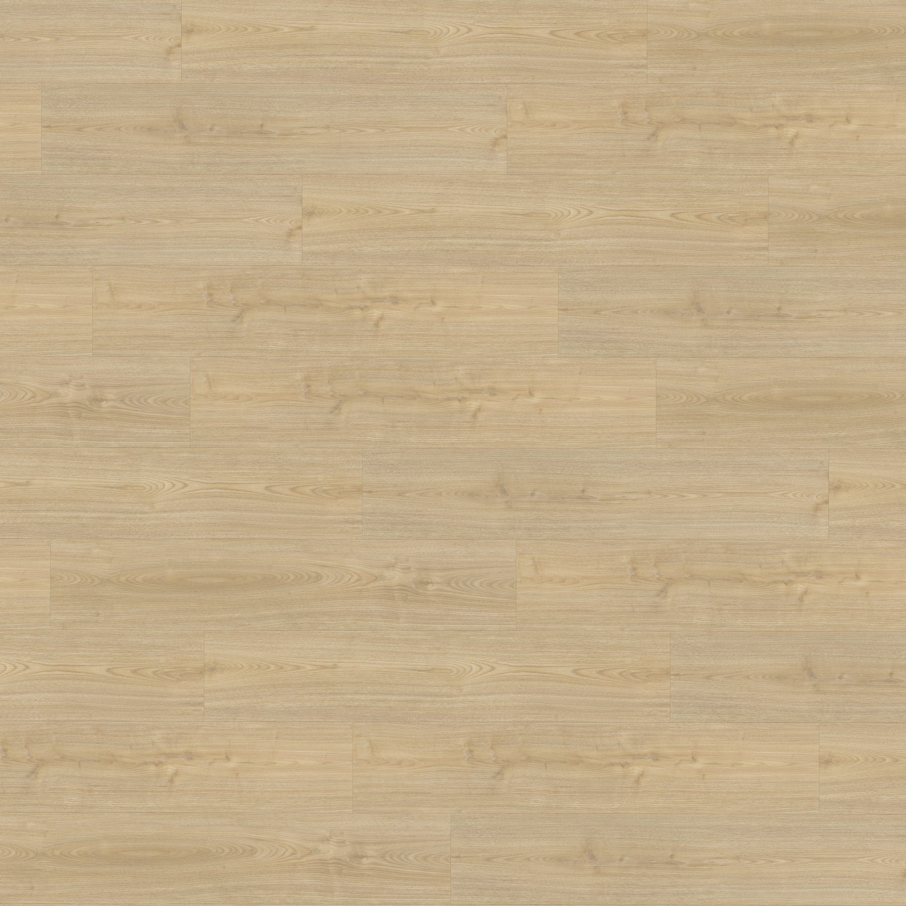 JAB Anstoetz American Chestnut