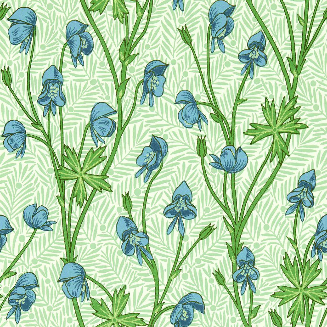 Morris&Co Monkshood