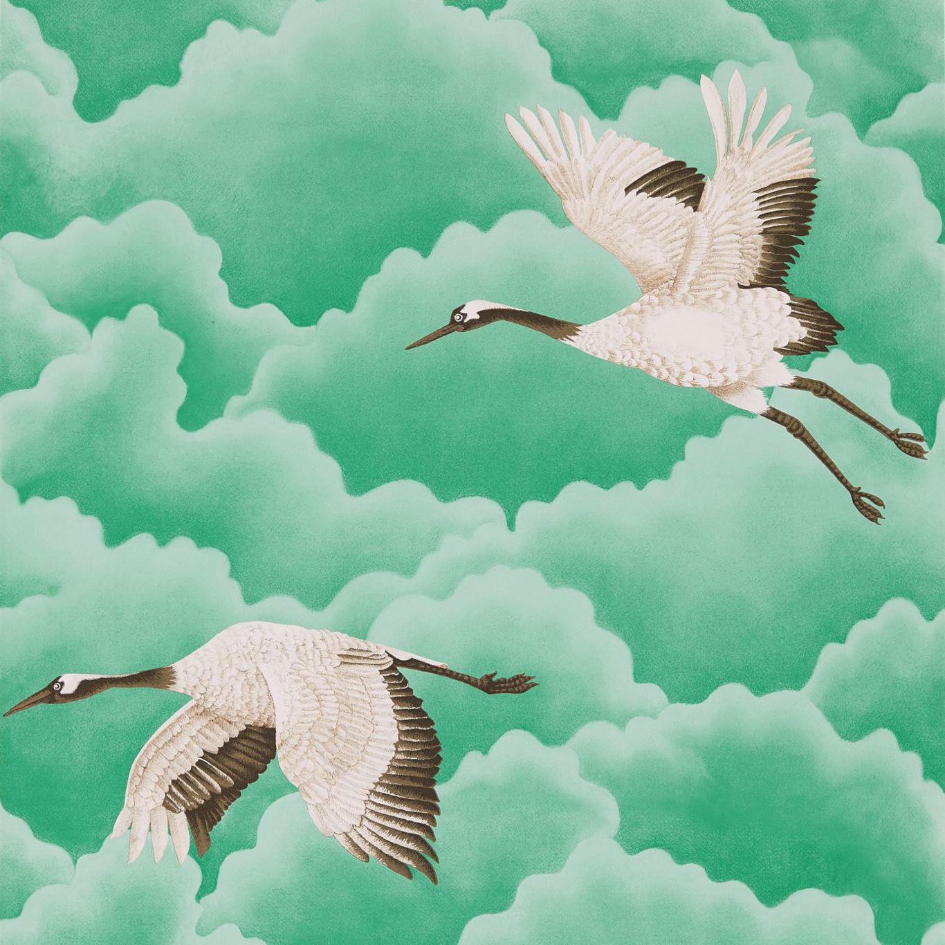 Harlequin Cranes In Flight